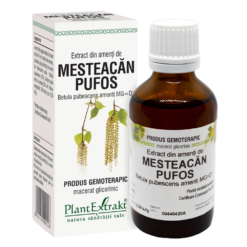 Extract din Muguri de Mesteacăn Pufos 50ml PLANTEXTRAKT