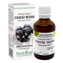 Extract din Muguri de Coacăz Negru 50ml PLANTEXTRAKT